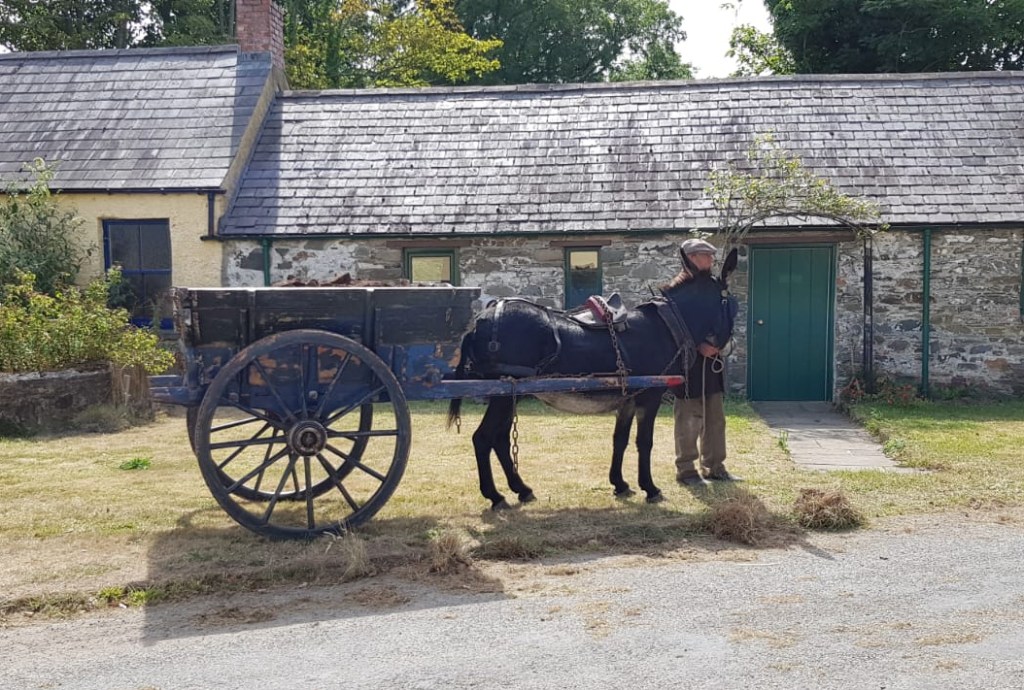 working donkey for period dramas