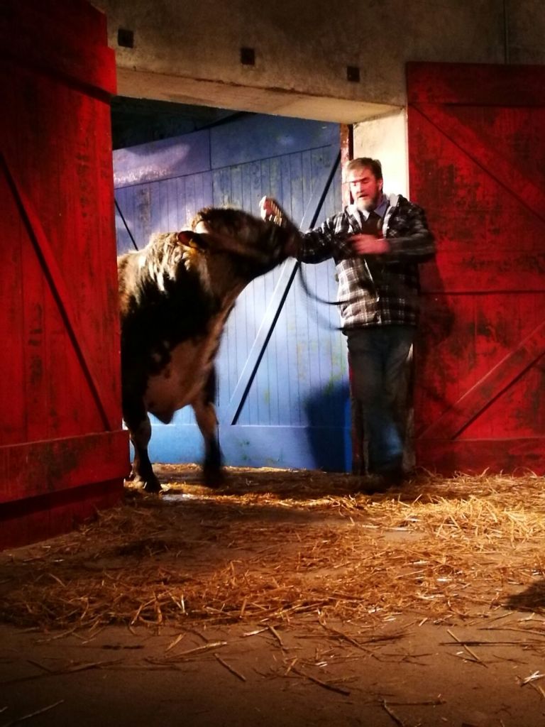 Okay bull, are you ready for your close up?