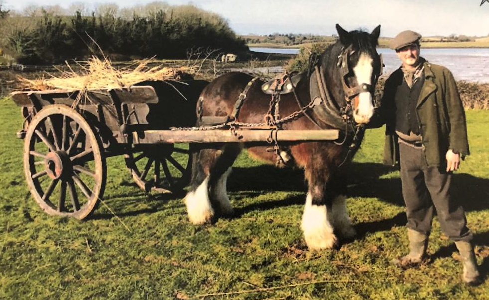Kenny ready for set with working cob and farm cart