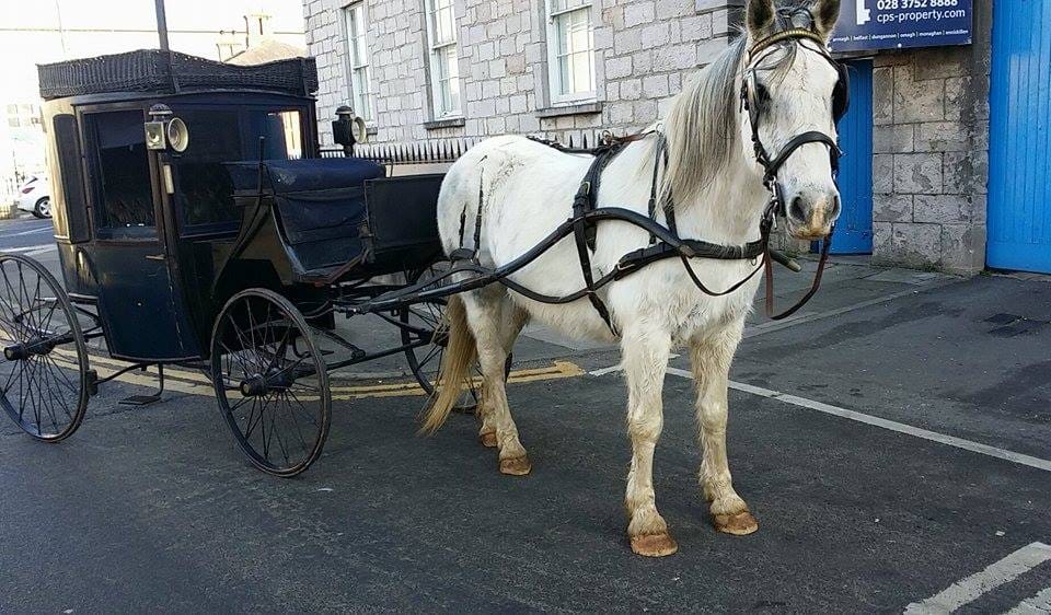 A Brougham, a light, single horse drawn carriage based on a 19th century design