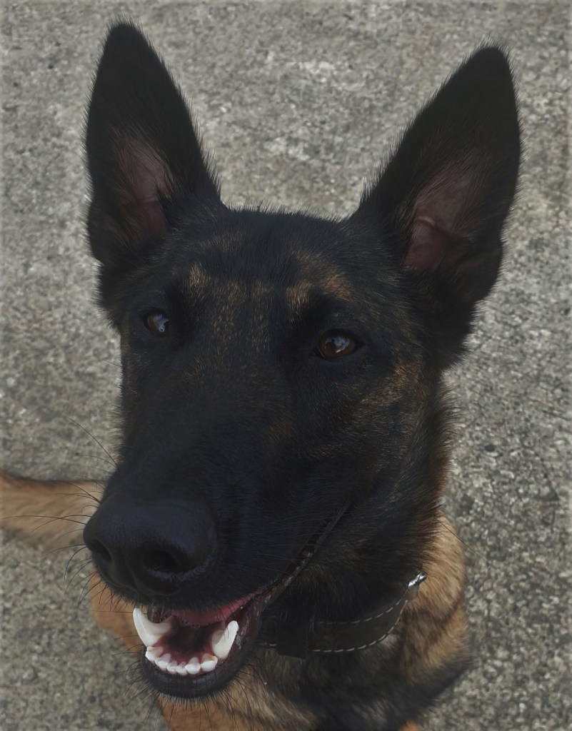 Millie after her makeover