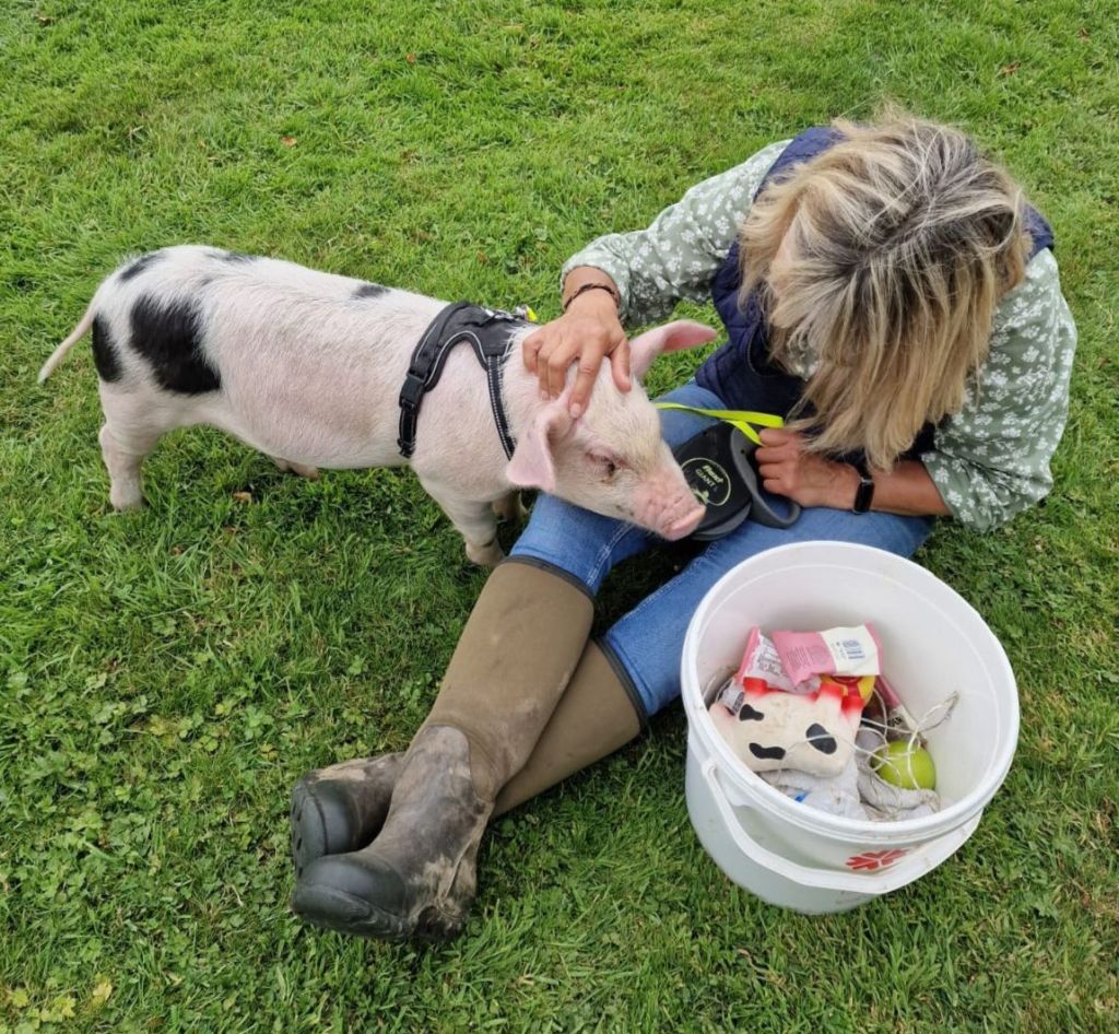 In training, little Dottie McSpotty will be gracing the screen in Autumn 2024